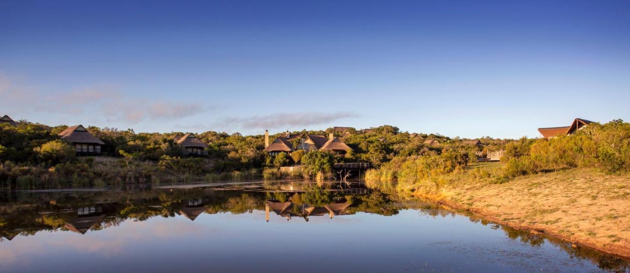Lalibela Game Reserve - Kichaka Lodge Paterson Esterno foto
