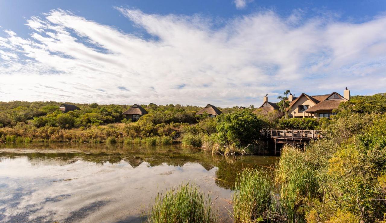 Lalibela Game Reserve - Kichaka Lodge Paterson Esterno foto
